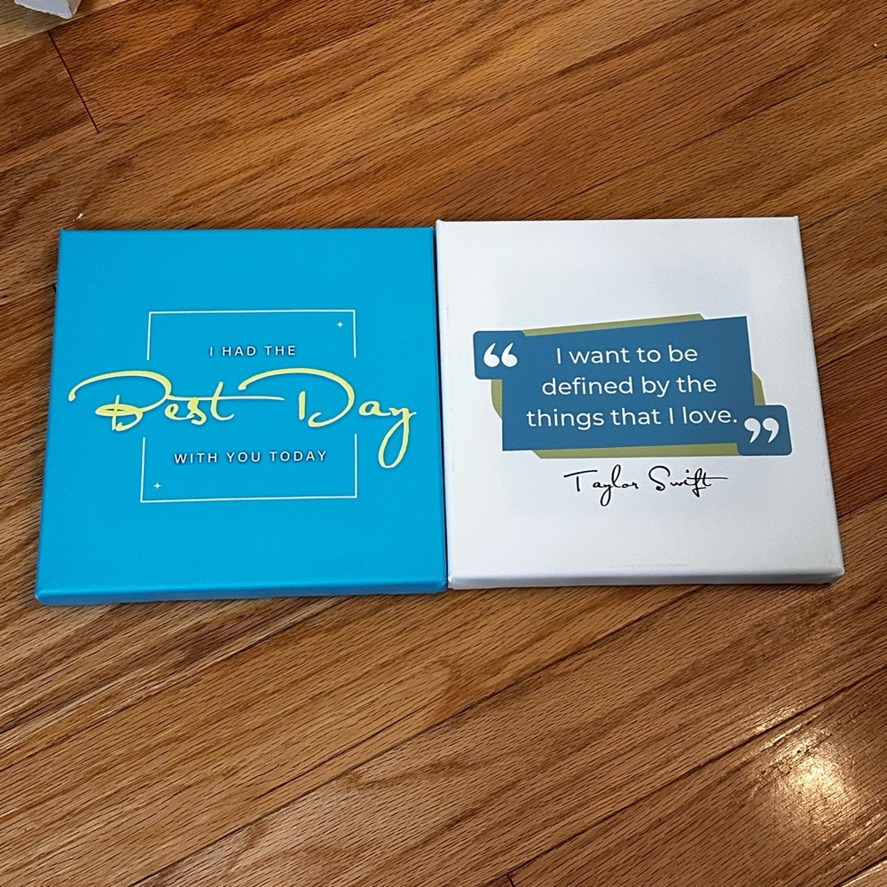 Taylor Swift Debut Themed Canvases (2)